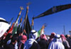 Prise d'assaut du tombeau de Ab&ucirc; 'Ali as-Sayyed par une confr&eacute;rie rifaieyya. Syrie du nord. Chaque ann&eacute;e, de grand rassemblements ont lieux aux dates d'anniversaires des saints (mouled ou mawled). C'est l'occasion pour les diff&eacute;rentes confr&eacute;ries qui paradent de recruter de nouveaux fid&egrave;les. 